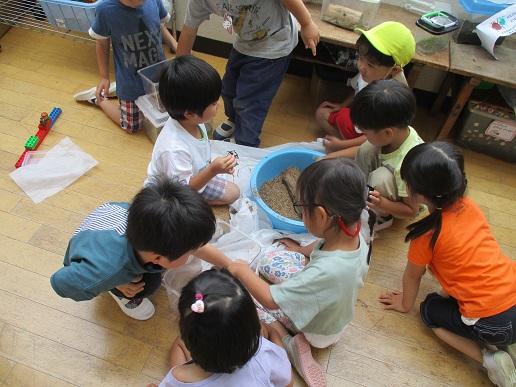 ふじみ野幼稚園