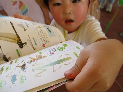 ふじみ野幼稚園