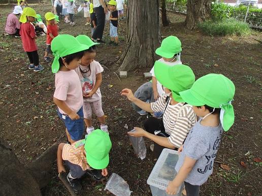 ふじみ野幼稚園