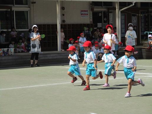 ふじみ野幼稚園