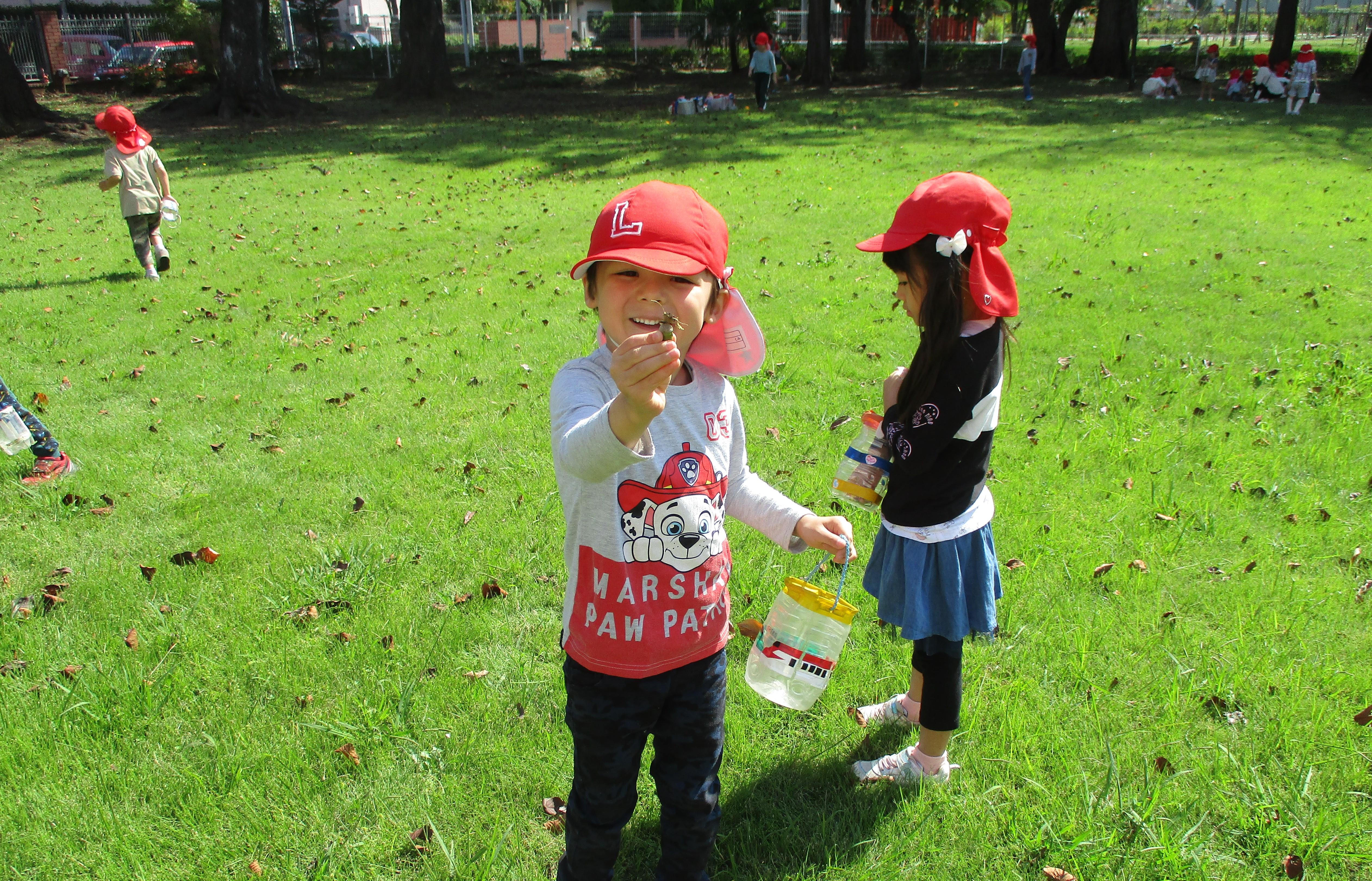 ふじみ野幼稚園