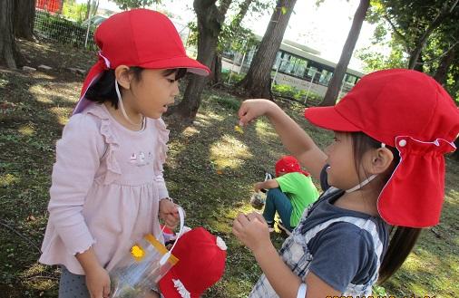 ふじみ野幼稚園