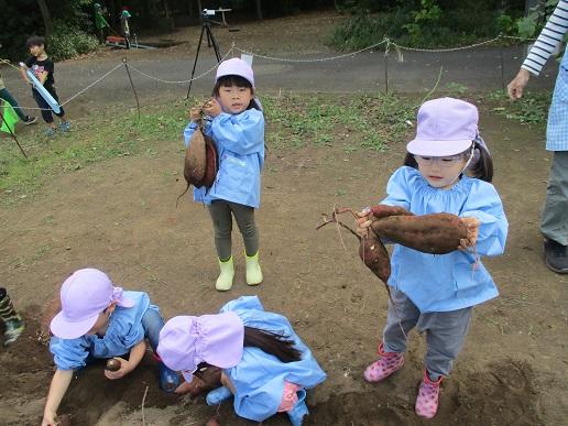 ふじみ野幼稚園