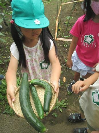 ふじみ野幼稚園