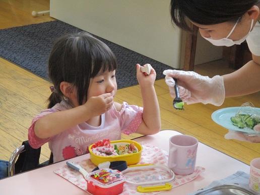 ふじみ野幼稚園