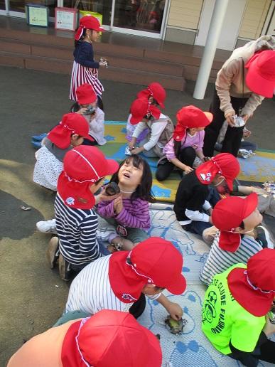 ふじみ野幼稚園