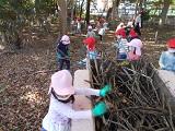 ふじみ野幼稚園