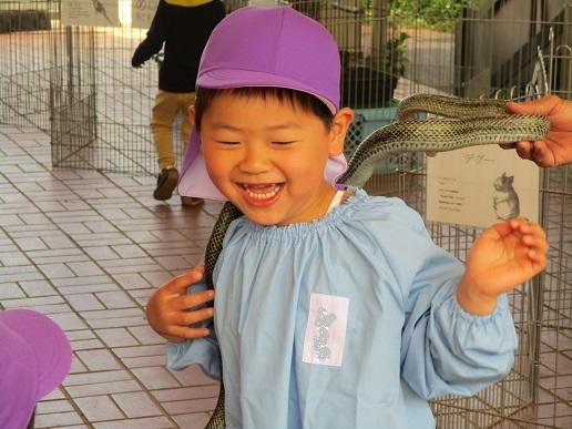 ふじみ野幼稚園