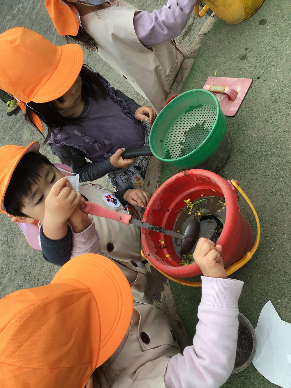 ふじみ野幼稚園