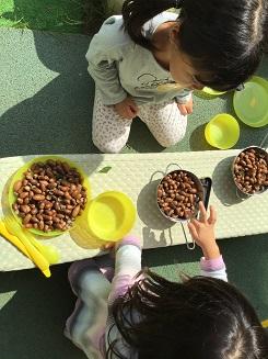 ふじみ野幼稚園