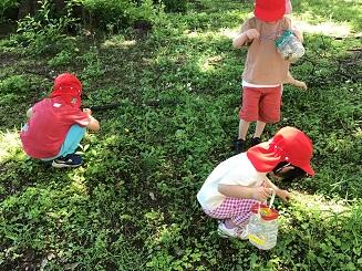 ふじみ野幼稚園