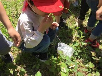 ふじみ野幼稚園