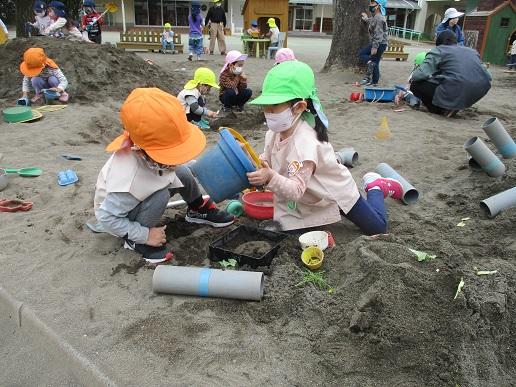 ふじみ野幼稚園