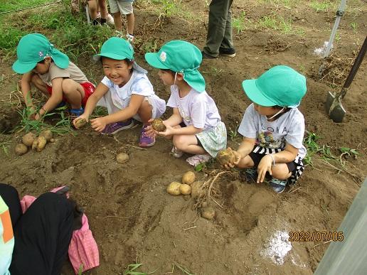 ふじみ野幼稚園