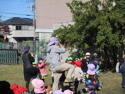 ふじみ野幼稚園