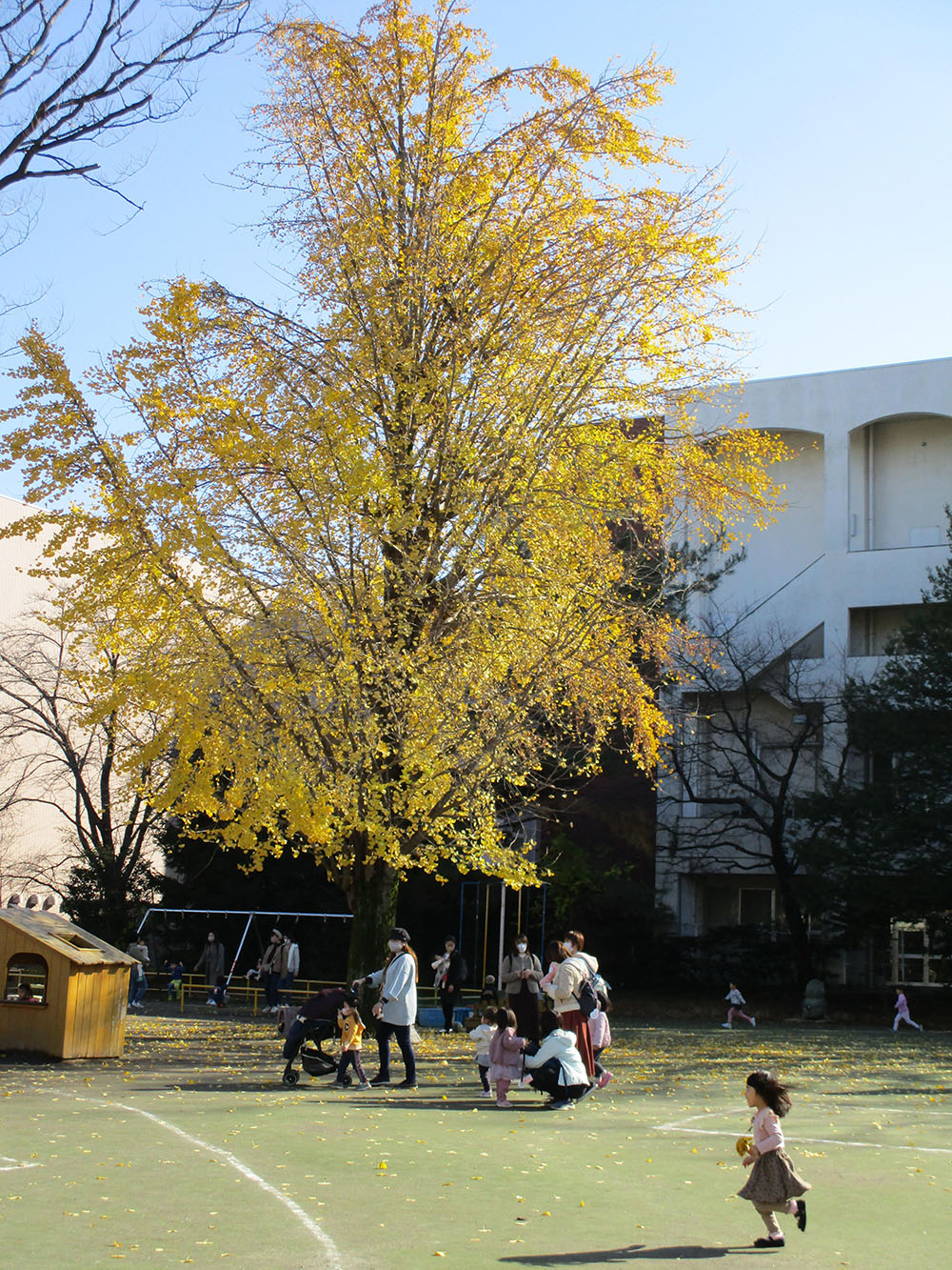 ふじみ野幼稚園