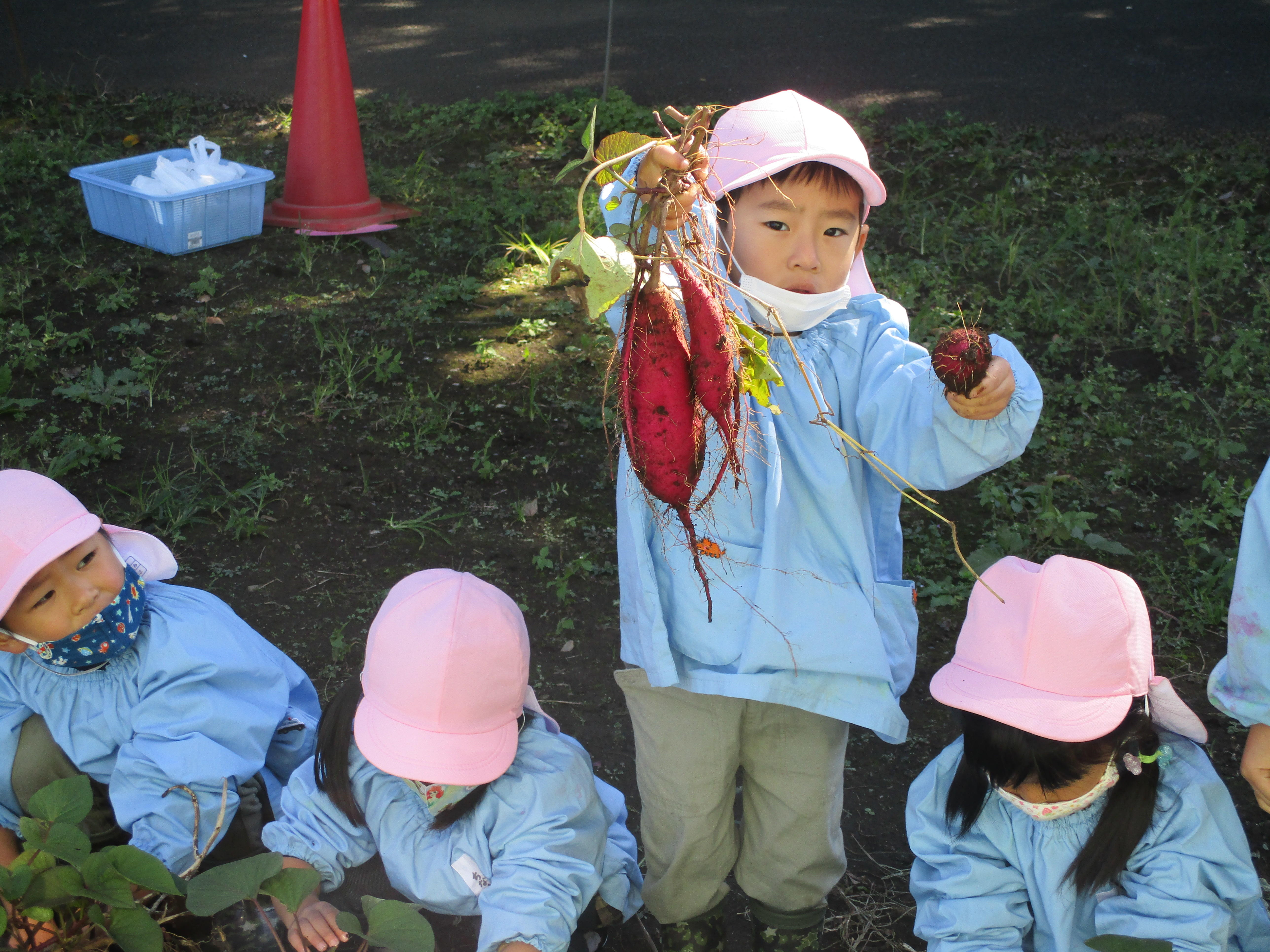 ふじみ野幼稚園