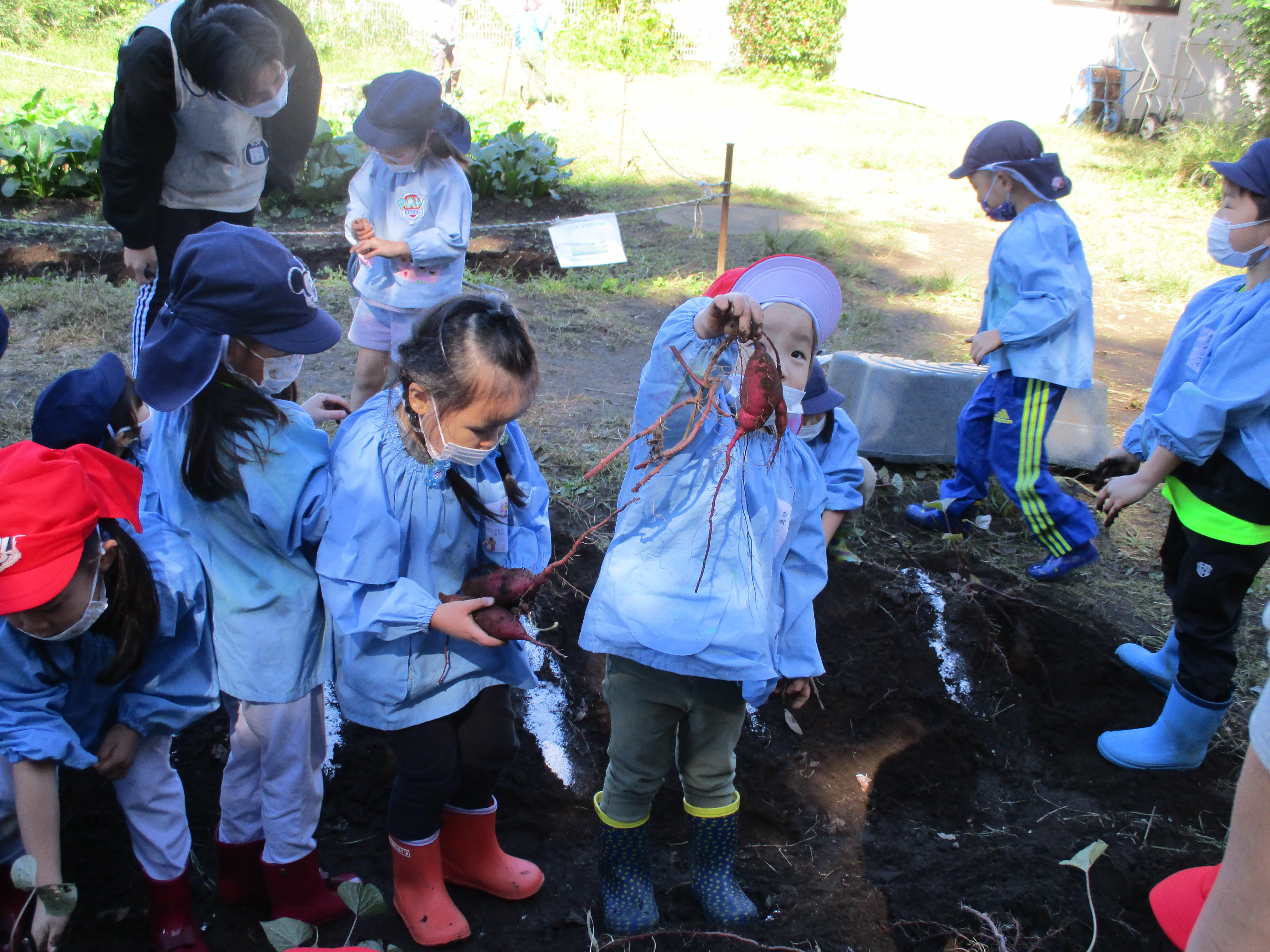 ふじみ野幼稚園