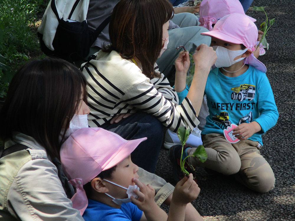 ふじみ野幼稚園