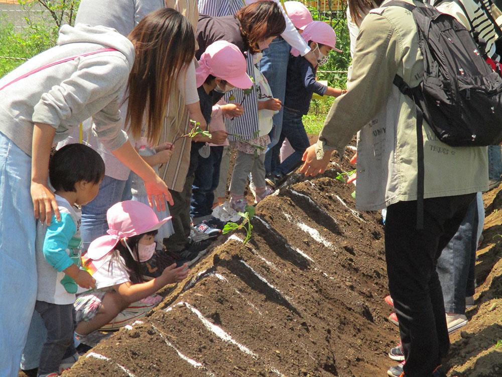 ふじみ野幼稚園