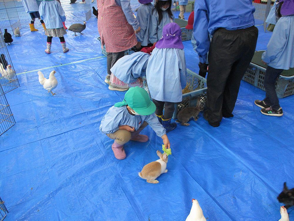 ふじみ野幼稚園