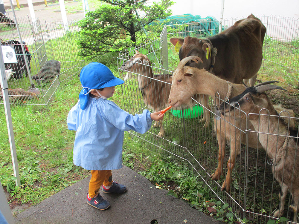 ふじみ野幼稚園