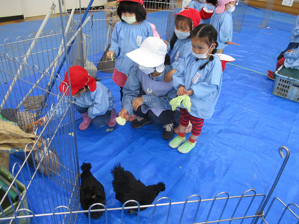 ふじみ野幼稚園