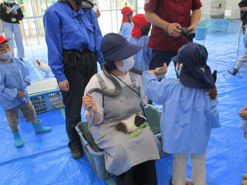 ふじみ野幼稚園