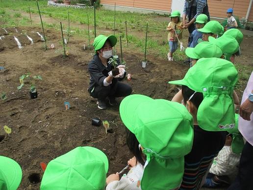 ふじみ野幼稚園