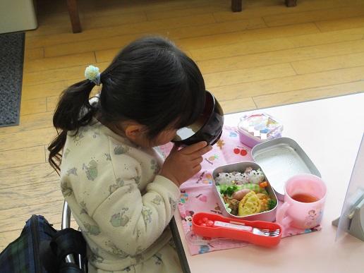 ふじみ野幼稚園