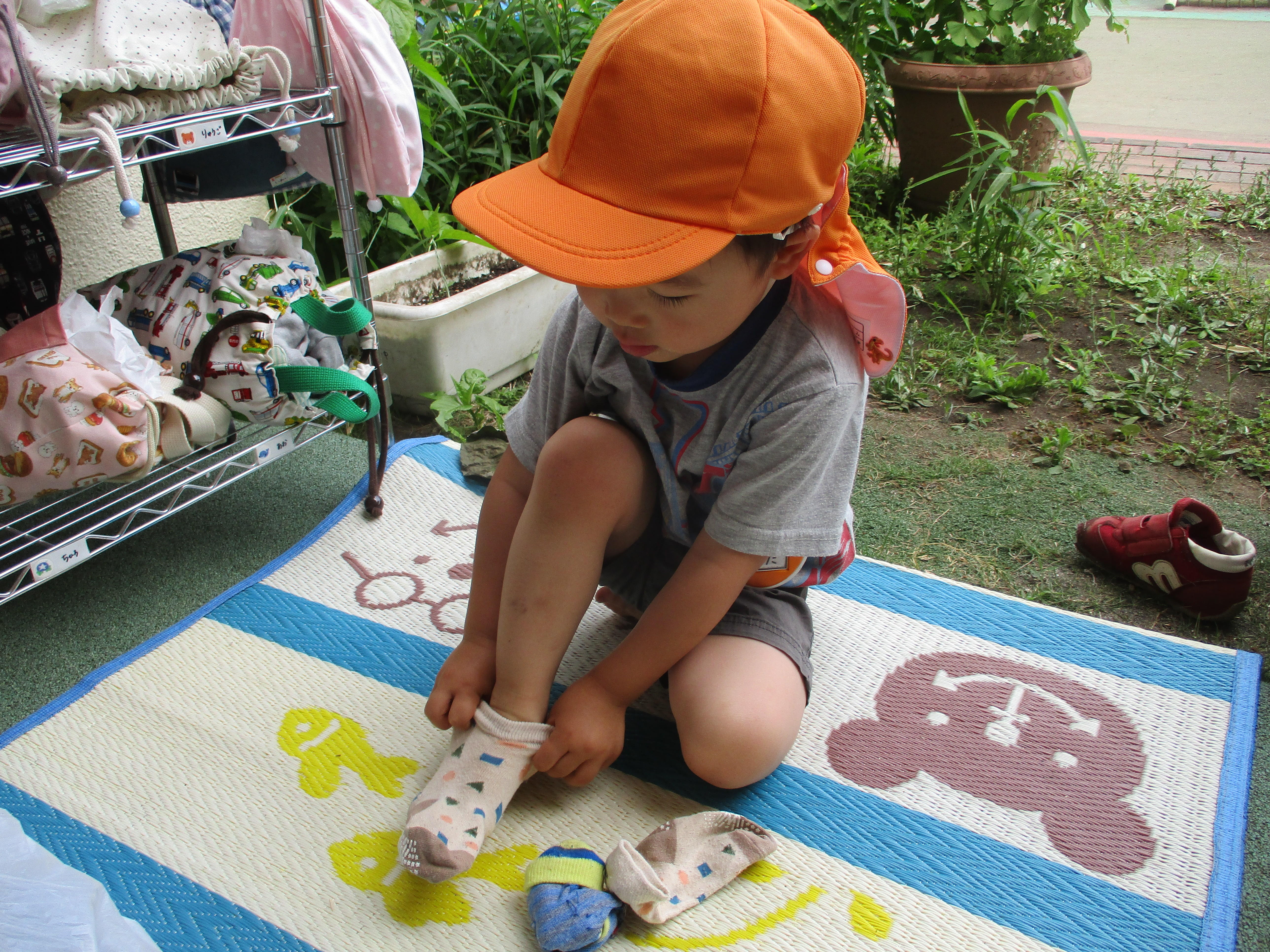 ふじみ野幼稚園