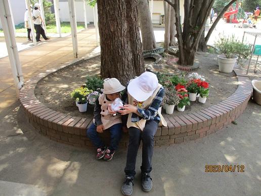 ふじみ野幼稚園