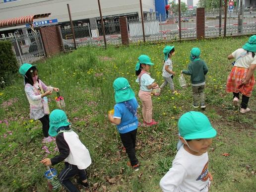 ふじみ野幼稚園