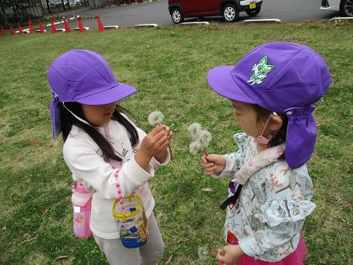 ふじみ野幼稚園