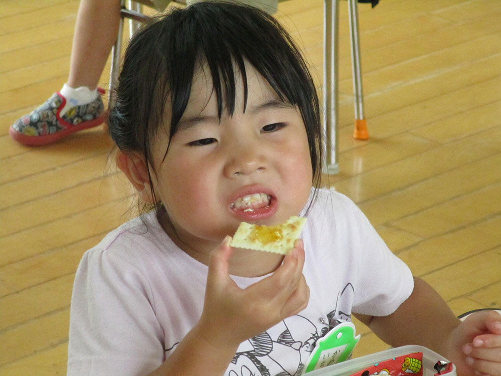 ふじみ野幼稚園