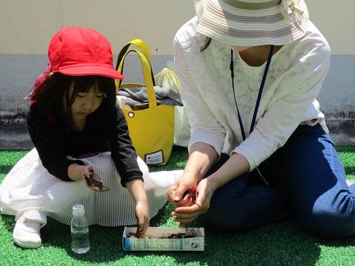 ふじみ野幼稚園