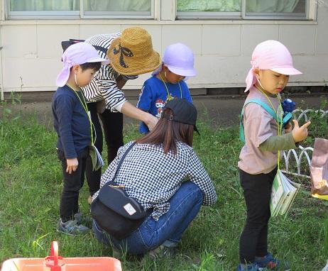 ふじみ野幼稚園