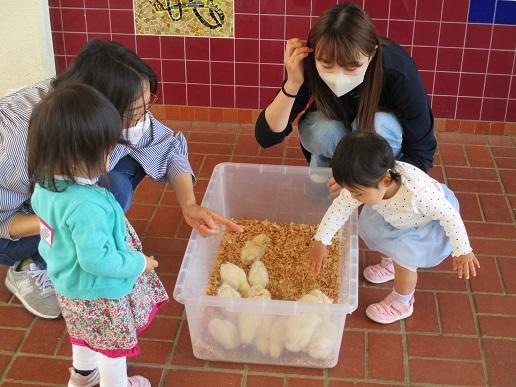 ふじみ野幼稚園