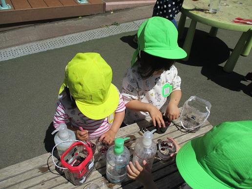 ふじみ野幼稚園