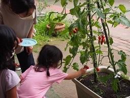 ふじみ野幼稚園