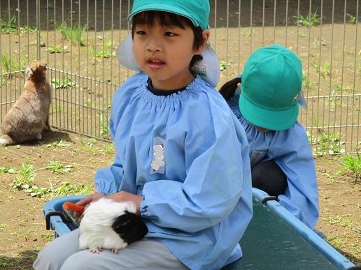 ふじみ野幼稚園