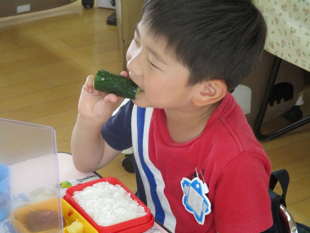 ふじみ野幼稚園